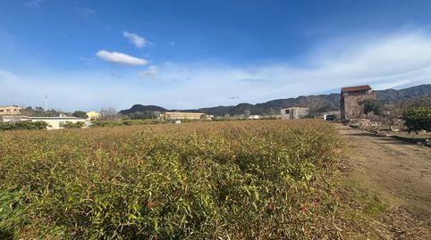 FINCA RÚSTICA CON ALMACEN, image 4
