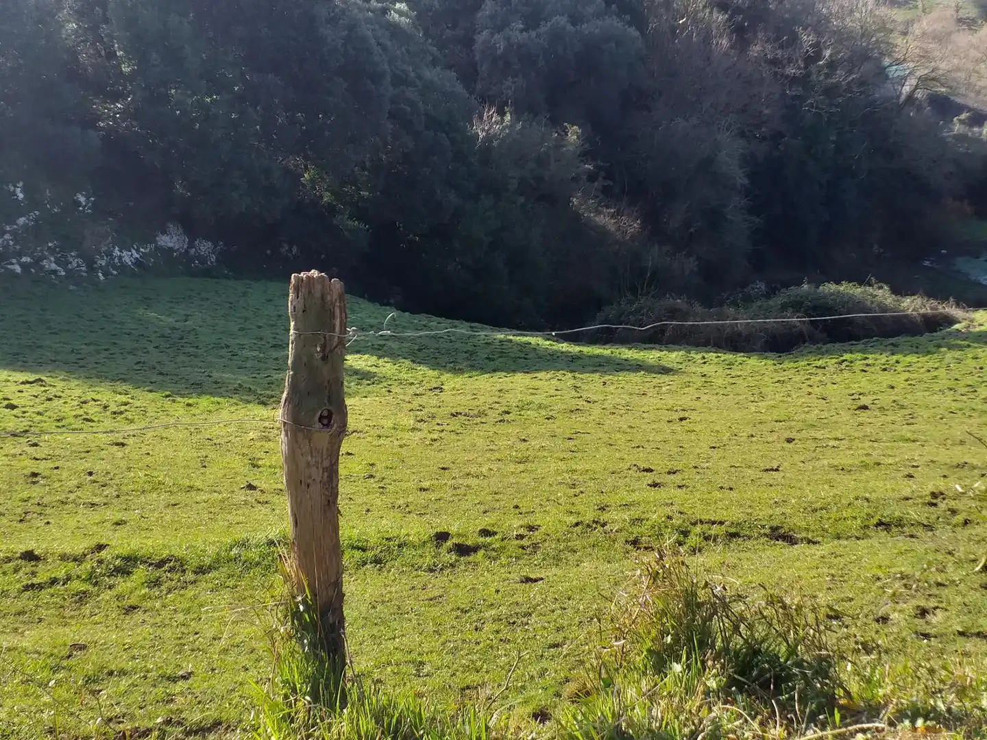 Rustikales Grundstück zum Verkauf in Santillana del Mar, imagen 12