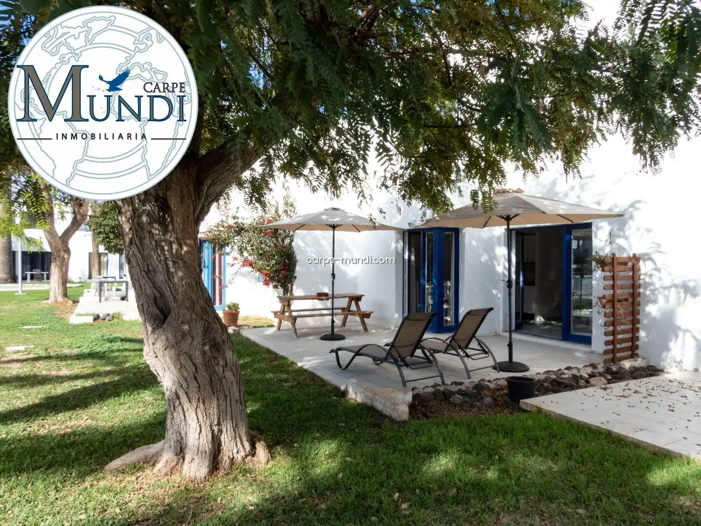 Jardí de Apartament en venda en La Oliva amb Terrassa i Piscina comunitària