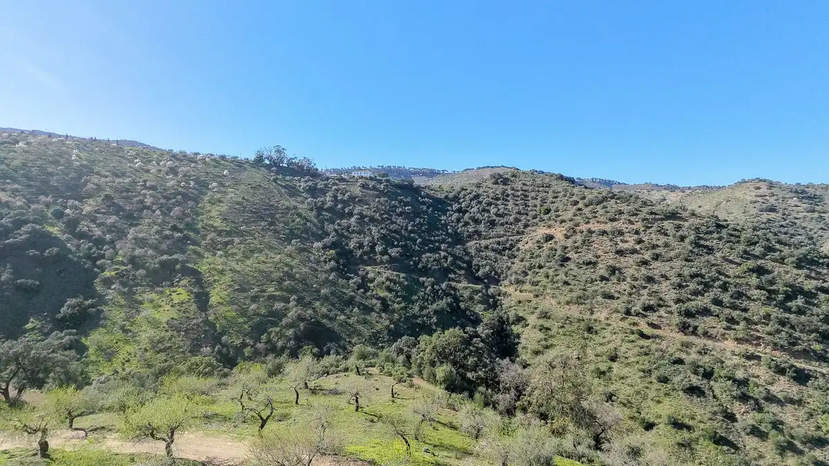 Terrenos y solares en venta en Este, imagen 7