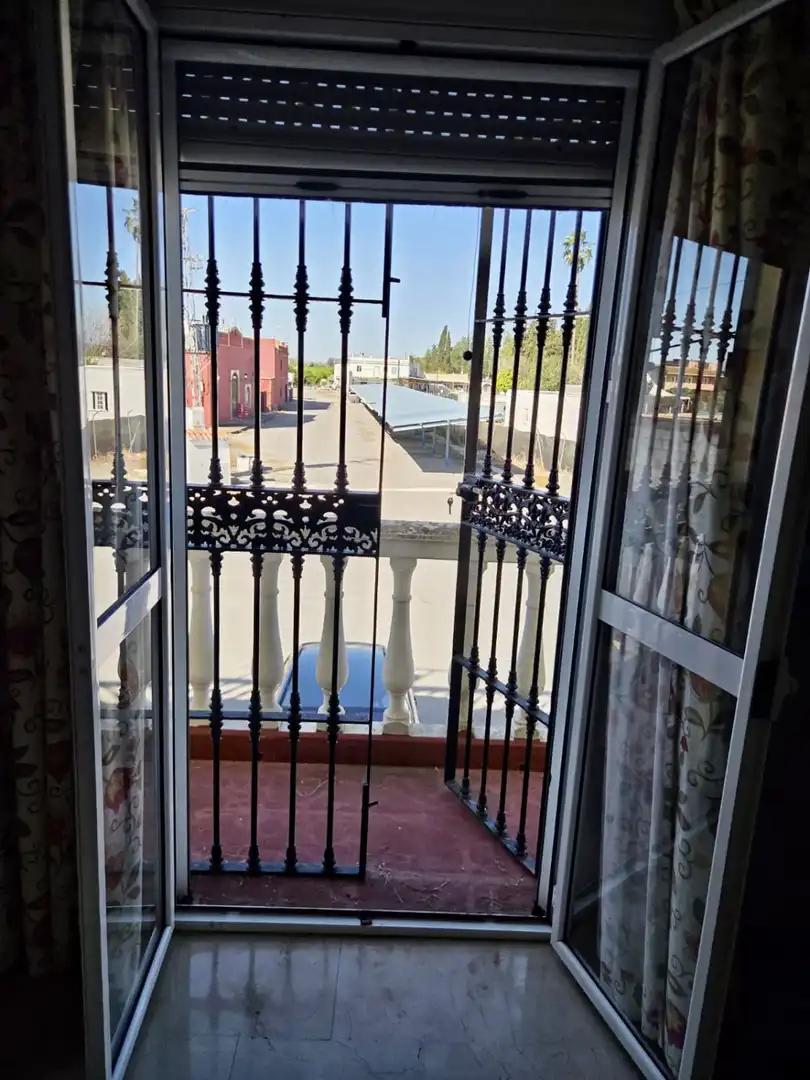 Terraza de Finca rústica en venta en La Algaba