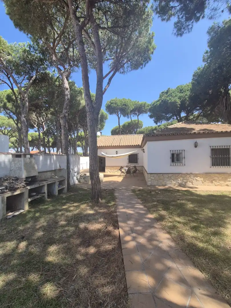 Garden of Houses for sale in Chiclana de la Frontera
