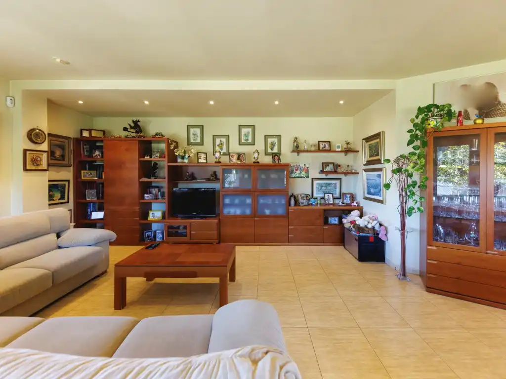 Sala de estar de Casa o chalet en venta en Santa Cristina d'Aro