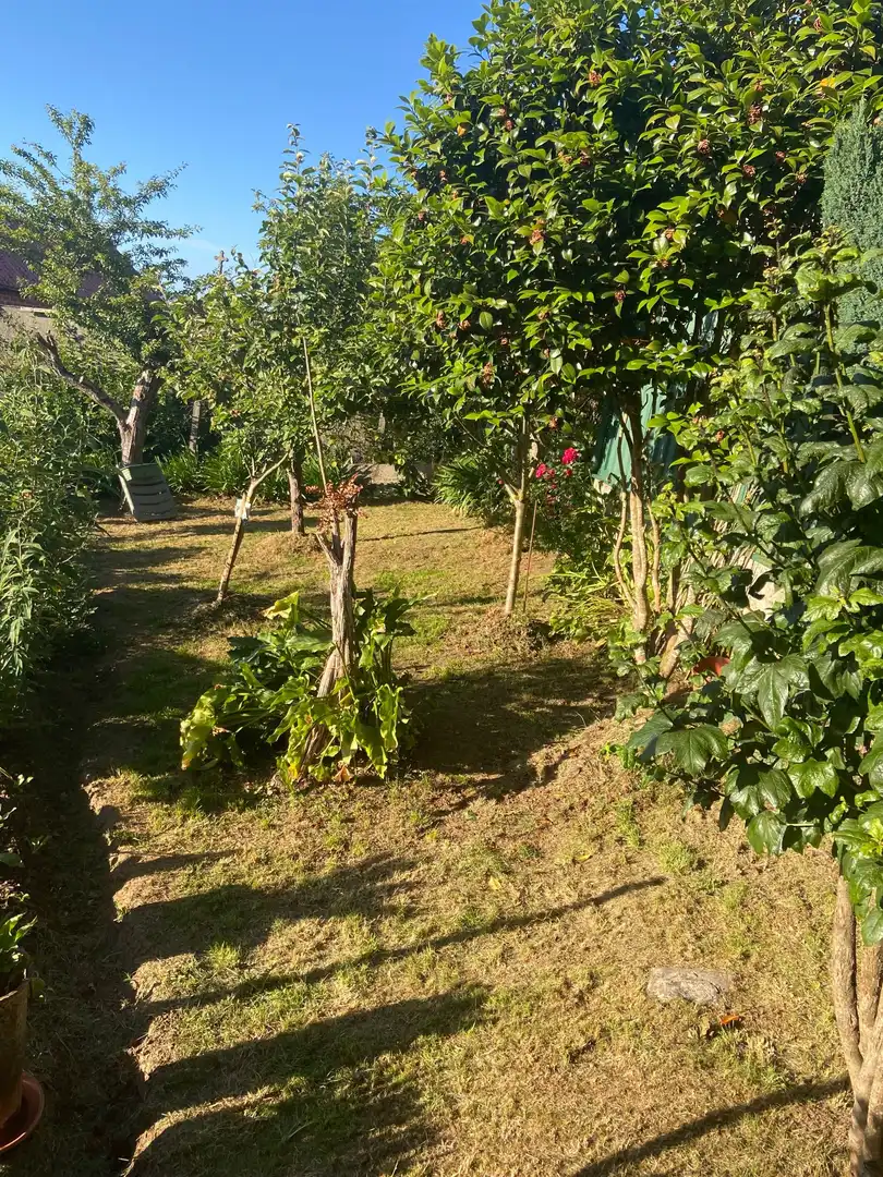 Houses for sale in Silleda  with Storage room