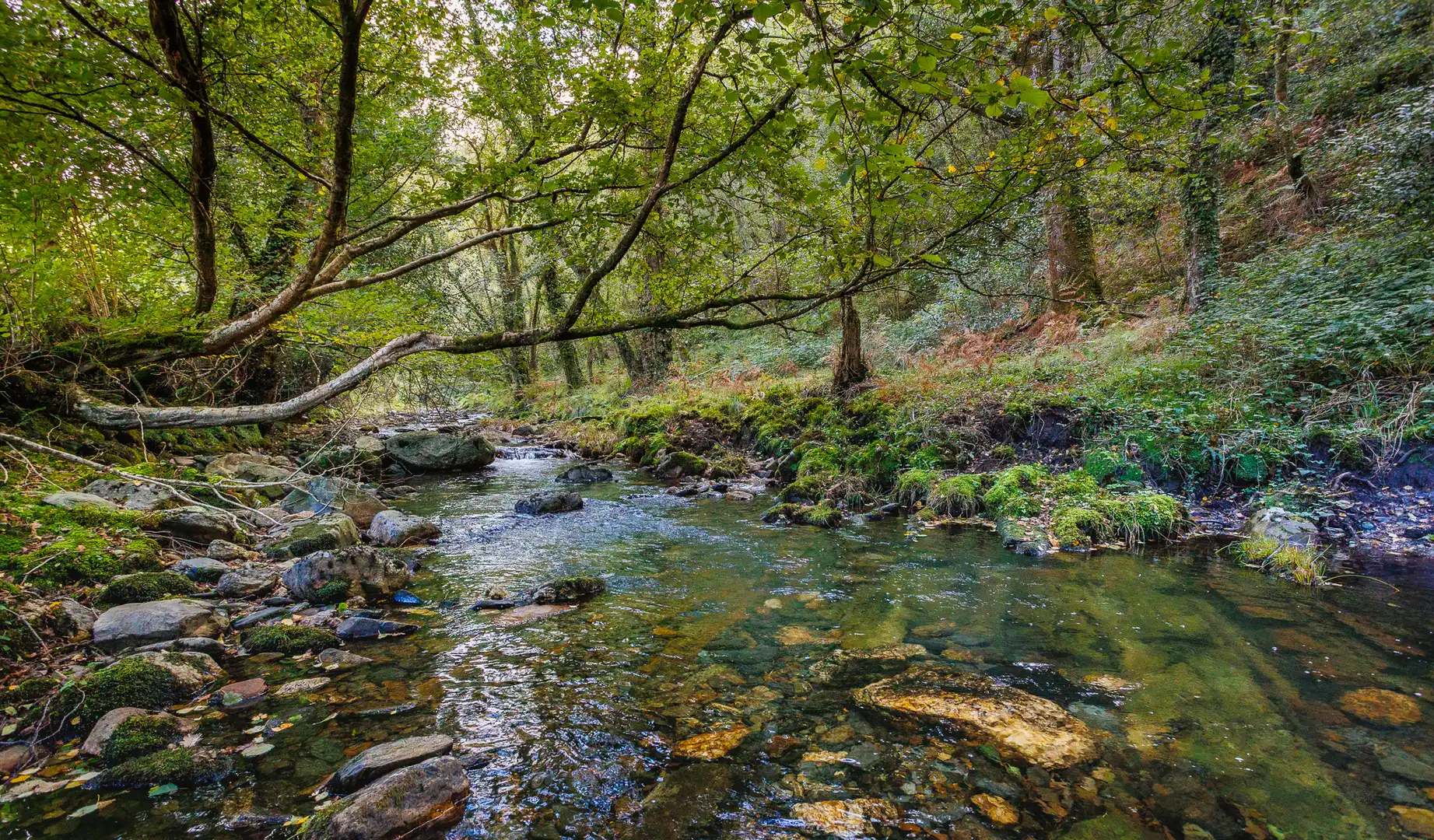 Vista exterior de Finca rústica en venta en Ourol con Amueblado
