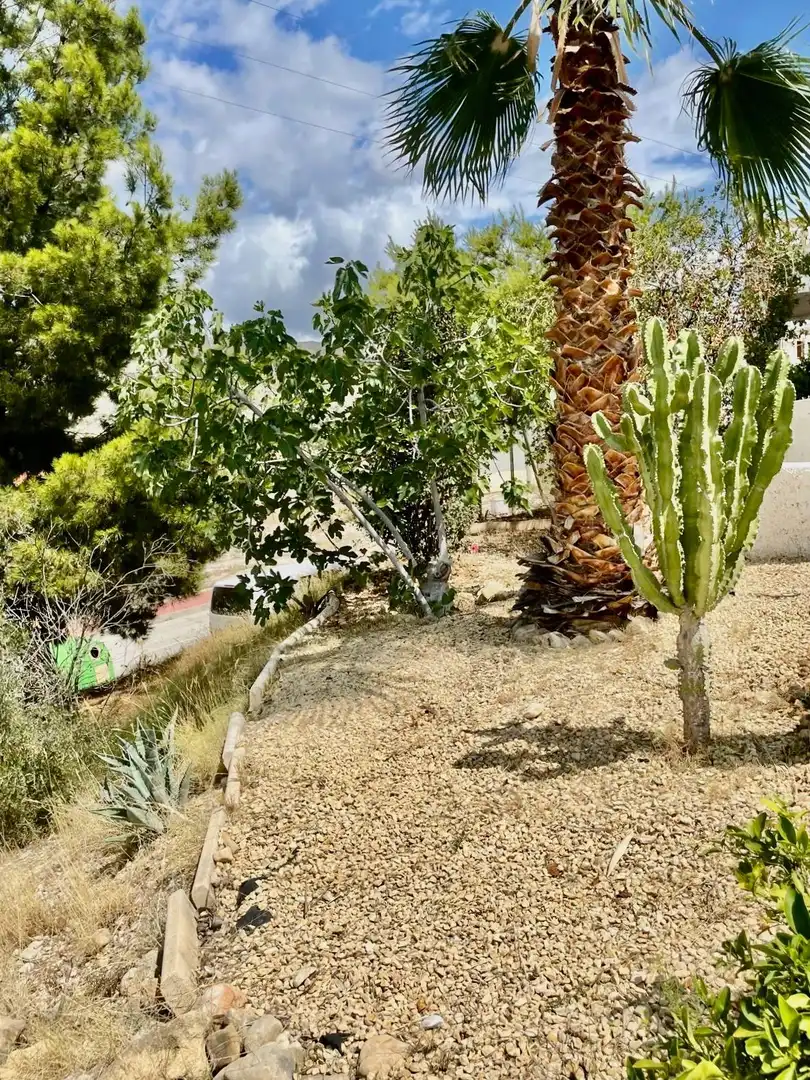 Vista exterior de Casa o chalet en venta en Orxeta con Aire acondicionado, Jardín privado y Terraza