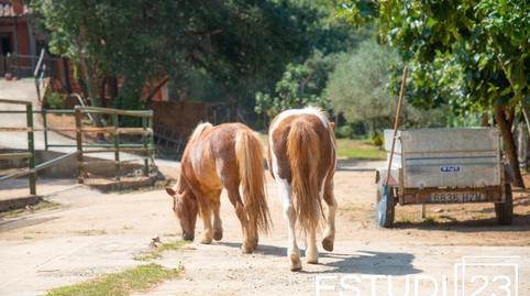 Photo 4 of Country house for sale in Òrrius, Barcelona