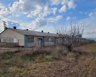 Land for sale in Cariñena
