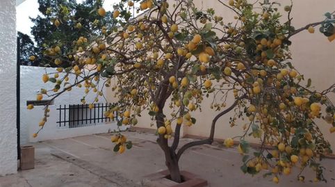 Foto 4 de Casa o xalet en venda a Calle las Palmeras, 8, Pulpí pueblo, Pulpí