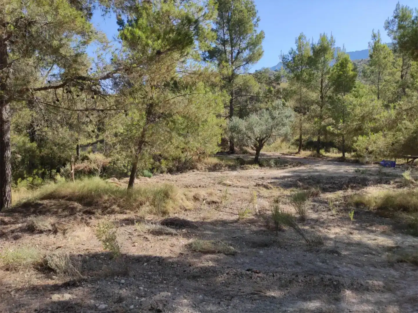 Terreno en venta en Busot