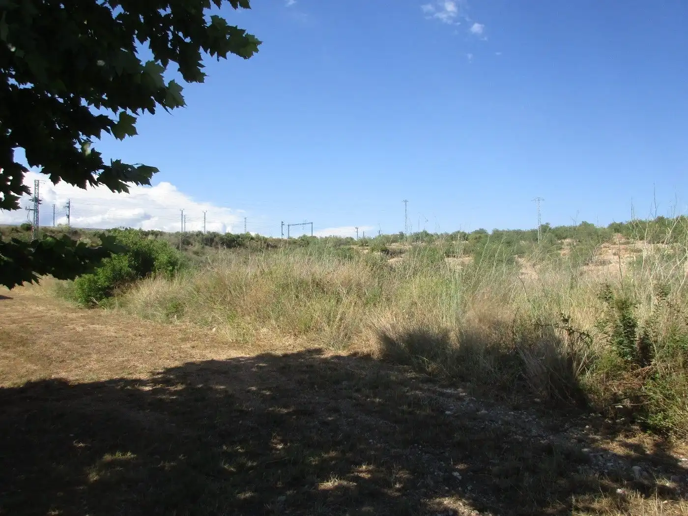 Residential land for sale in Passeig de l'Estació 11, imagen 13