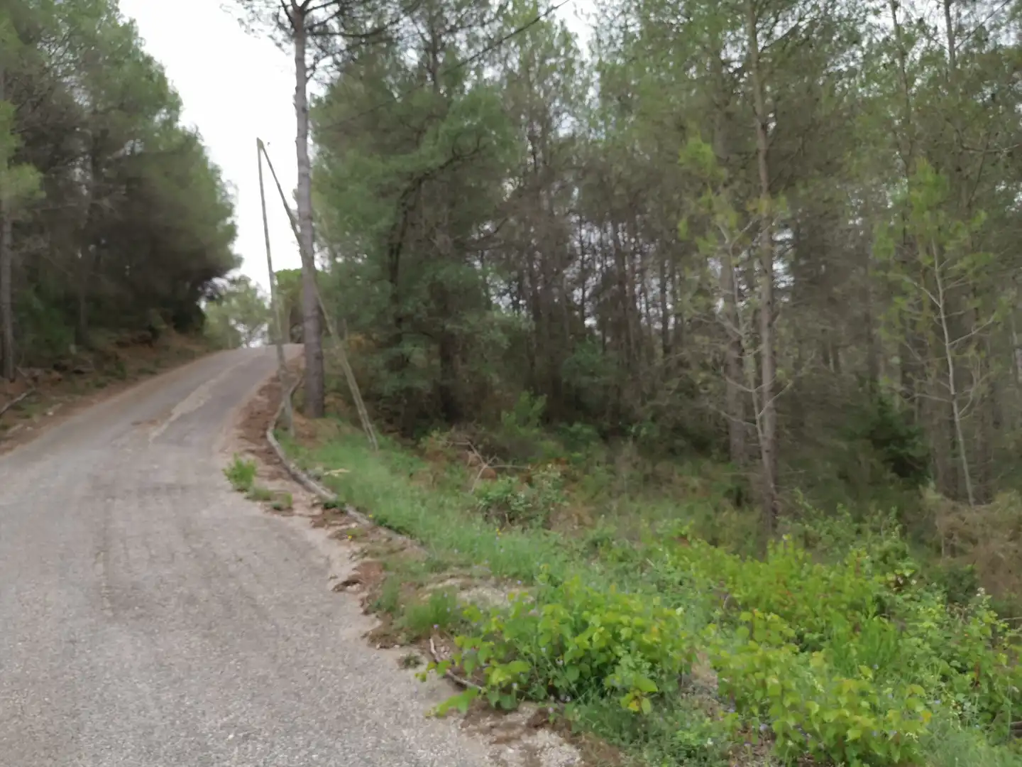 Terreny residencial en venda a El Montmell, imagen 10