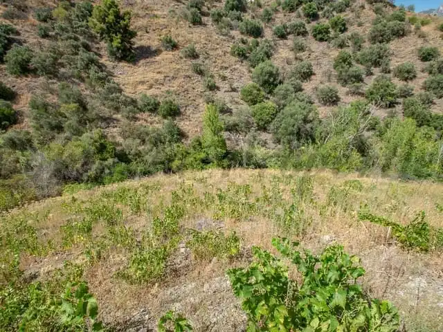 Terreni e lotti in vendita a Torrox Pueblo, imagen 3