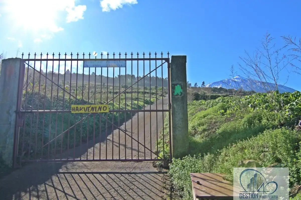 Vista exterior de Finca rústica en venta en Los Realejos