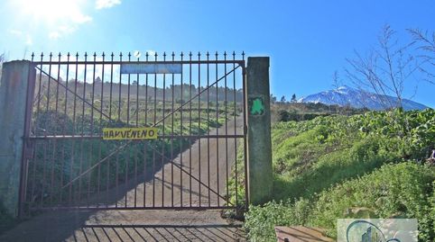 Foto 3 de Finca rústica en venta en Icod El Alto, Los Realejos