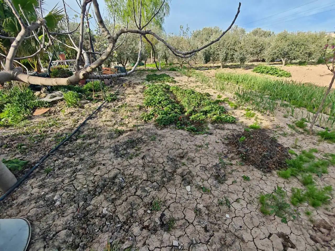 Terreni e lotti in vendita a Huétor Tájar, imagen 17