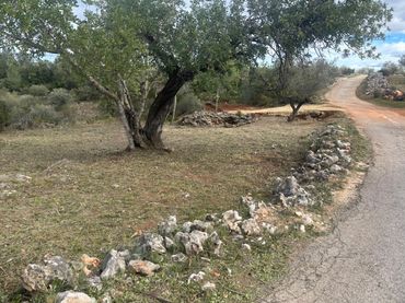 Terreno rustico in vendita a pol 12 parc 21