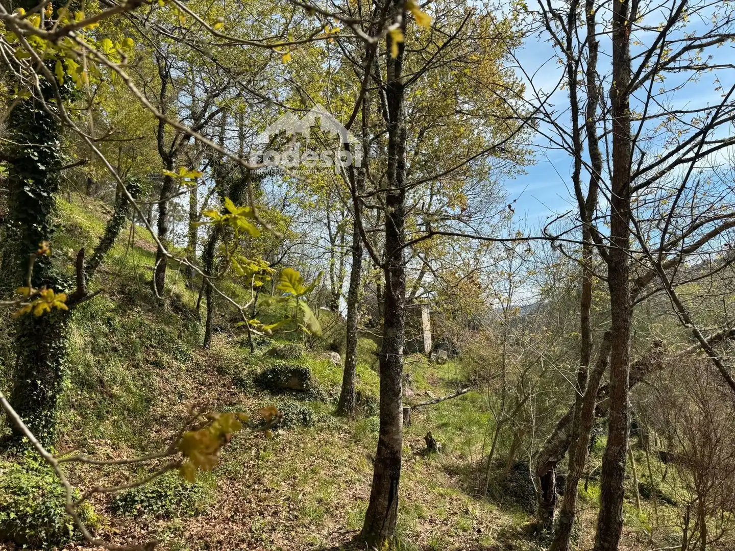 Rural land for sale in Arbo, imagen 14