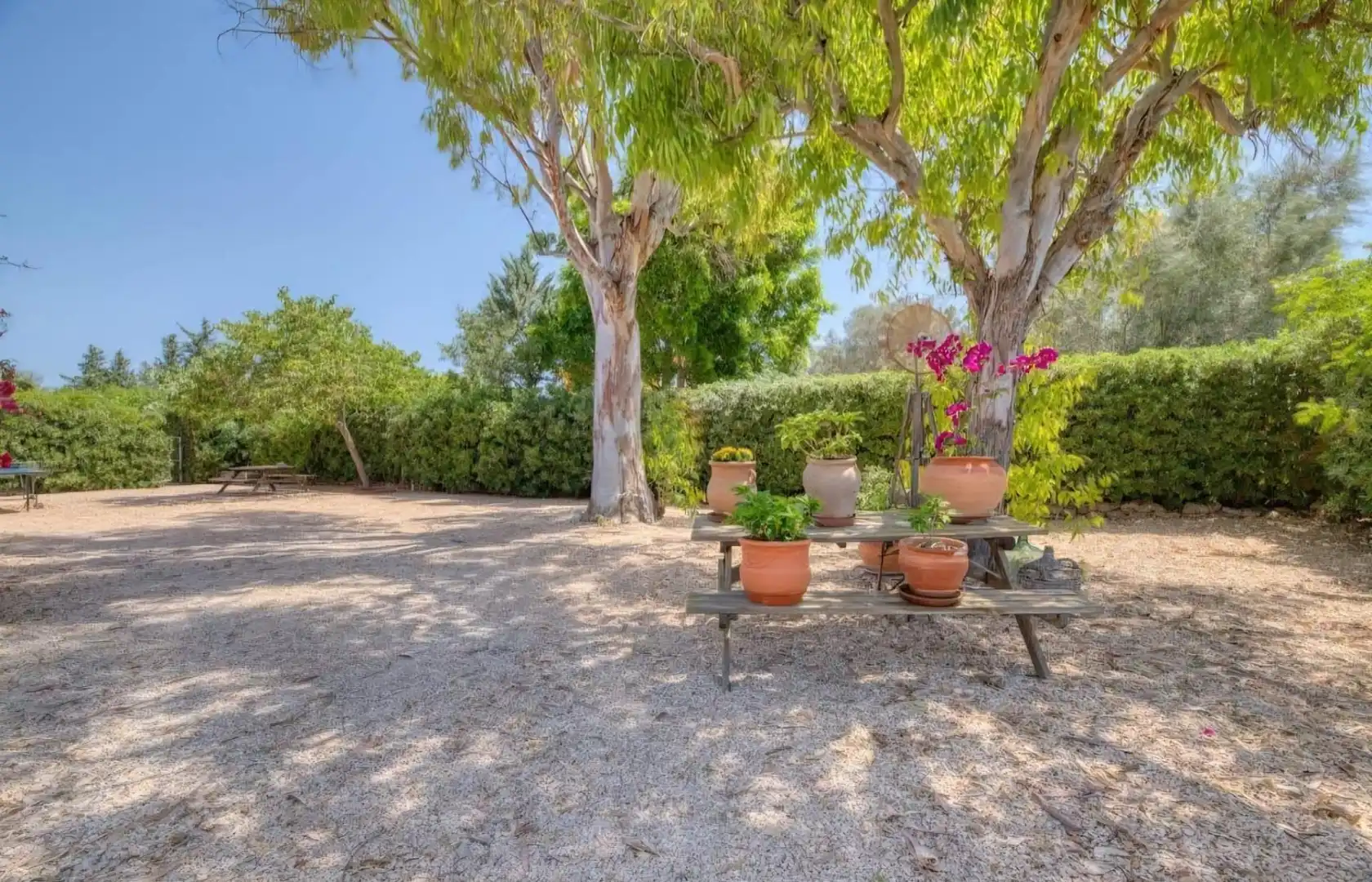 Chalet con terraza en venta en Llevant, imagen 44