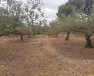 Terreny en venda en Sant Carles de la Ràpita