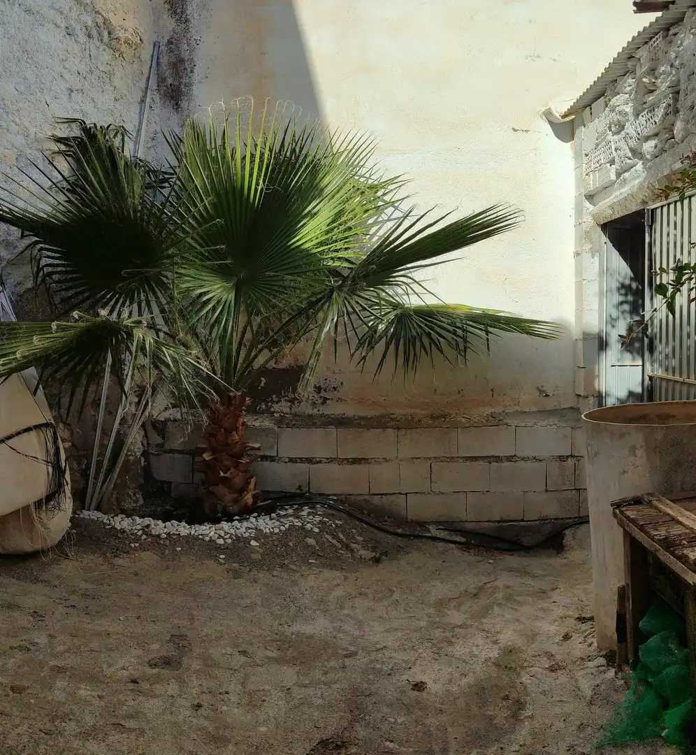 Exterior view of Commercial properties for sale in Tahal