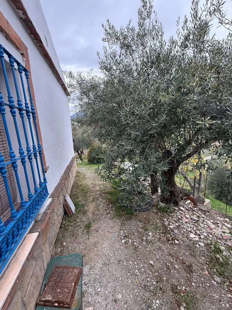Casa rústica en venda a diseminado huertas y lomas, imagen 13
