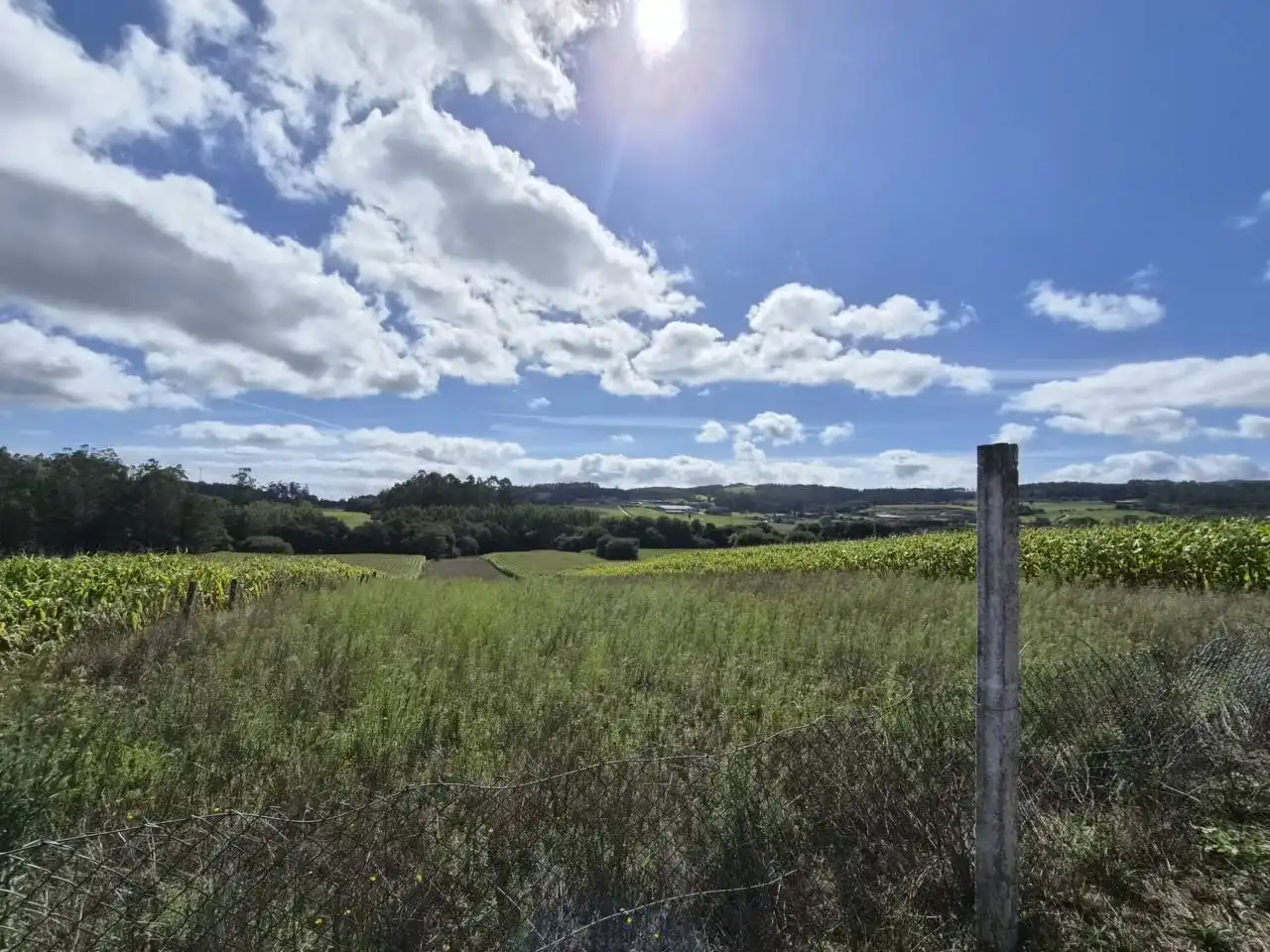 Country homes for sale in Rois  with Private garden, Furnished and Alarm