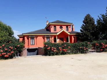 Casa rústica con piscina en venta en Mairena del Alcor