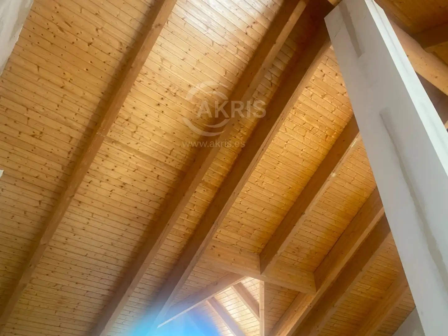 Gewerbefläche zum Verkauf in CONCEJO DE LA MESTA, imagen 7