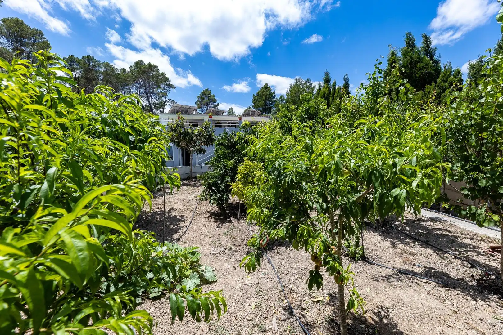 Casa amb piscina en venda a Sant Joan, imagen 32