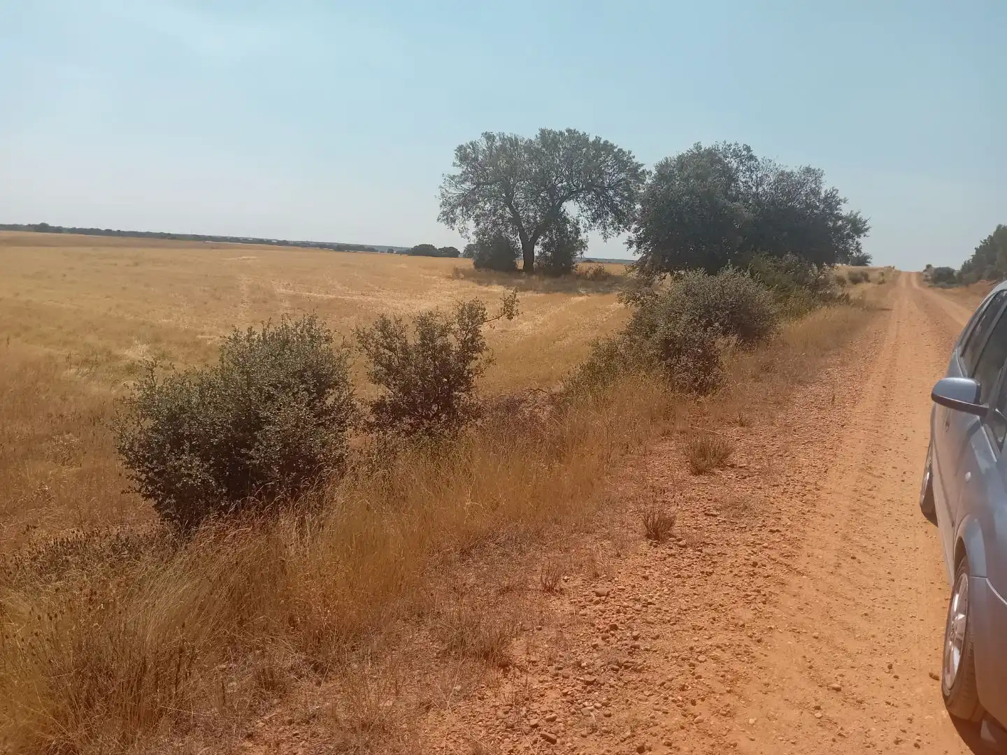 Terreno en venta en Moreruela de Tábara