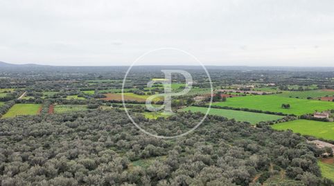 Foto 5 von Residential zum Verkauf in Camí de Ses Pedreres, Felanitx Poble, Felanitx