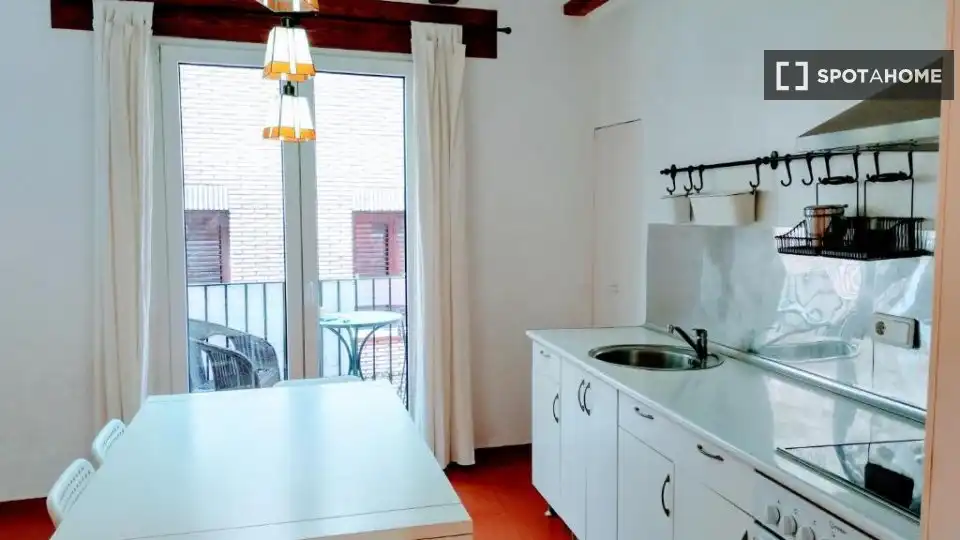 Flat with terrace to rent in Ciutat Vella