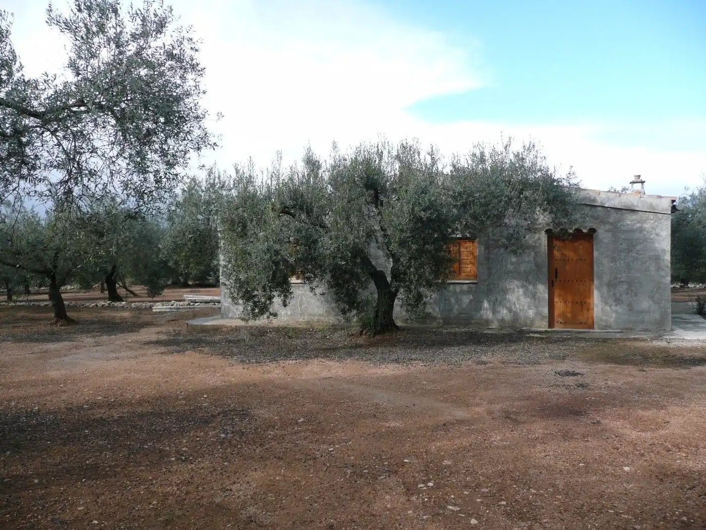 Jardín de Terreno en venta en Ulldecona