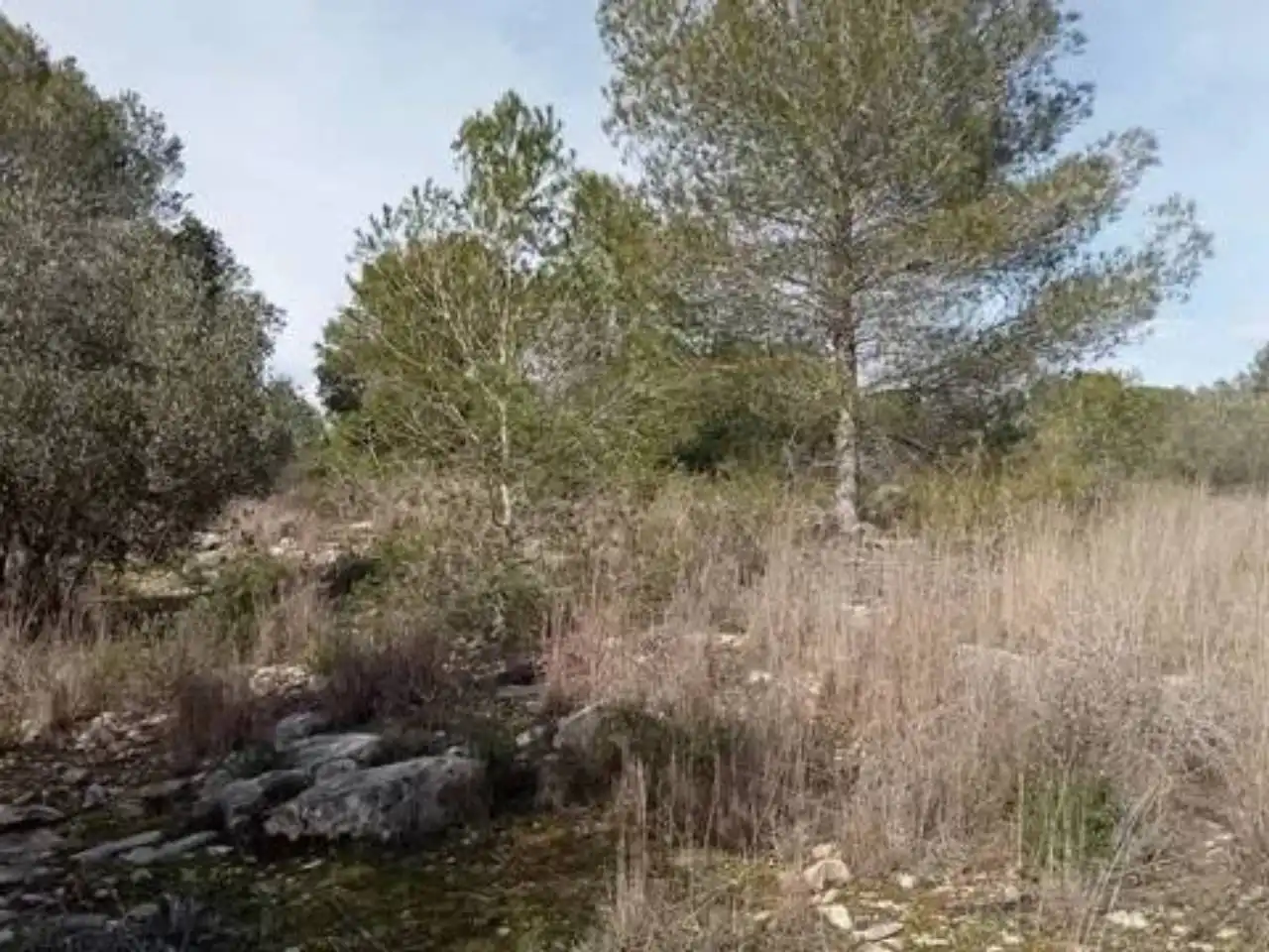 Terreno en venta en Guadasséquies