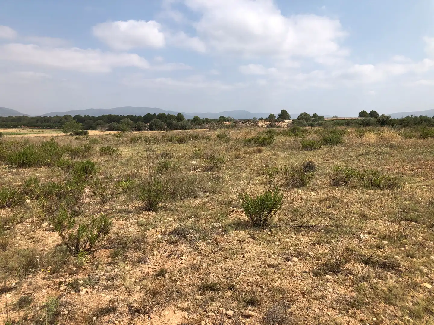 Terreno rústico en venta en Vila-rodona, imagen 8