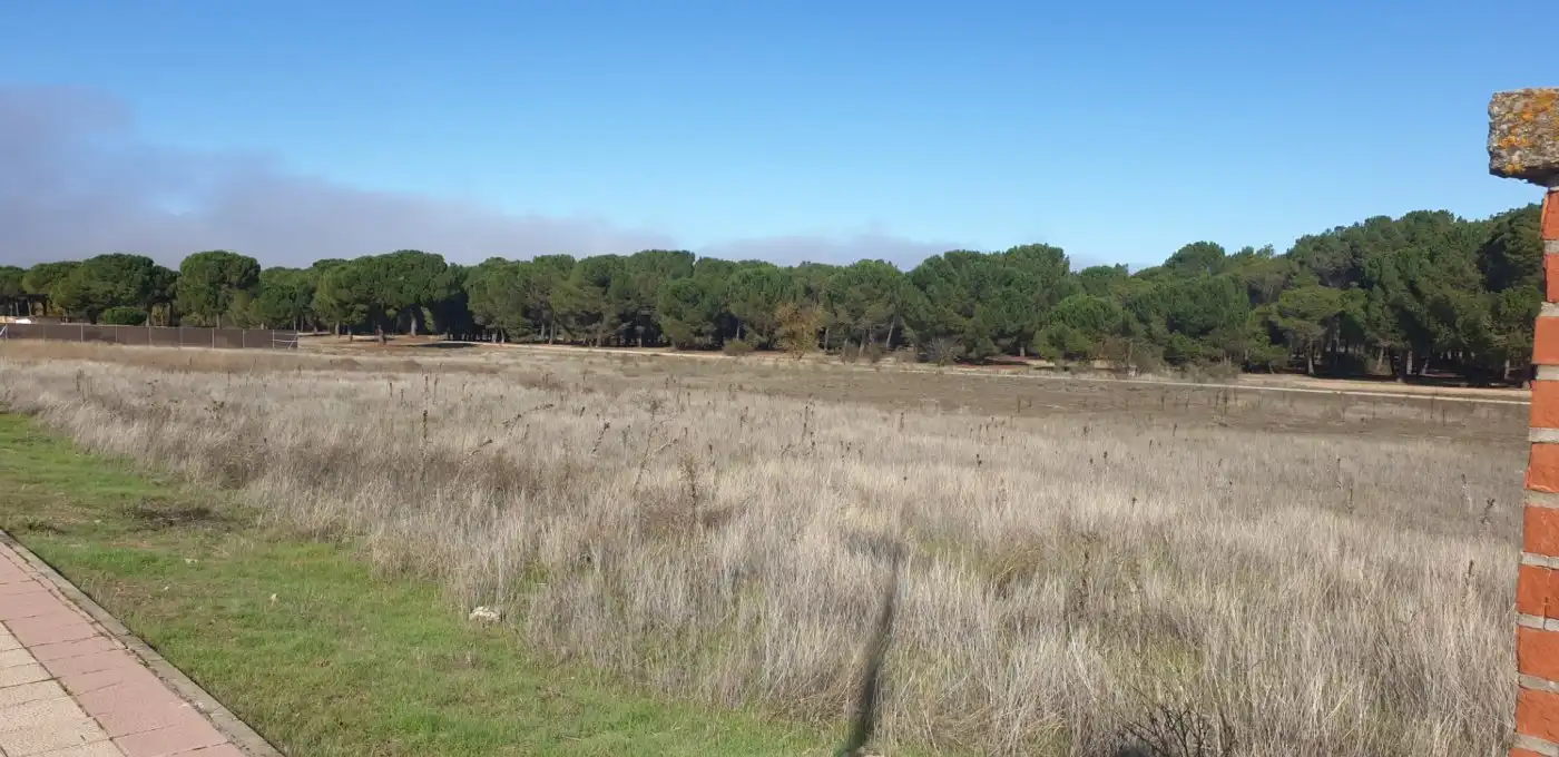 Terreni e lotti in vendita a Aldeamayor de San Martín, imagen 21