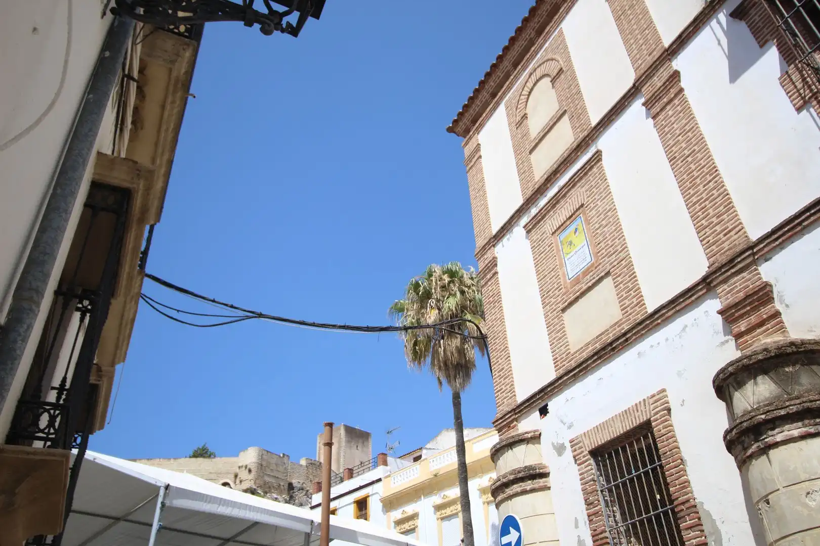 Vista exterior de Finca rústica en venda en Cañete la Real amb Terrassa i Traster
