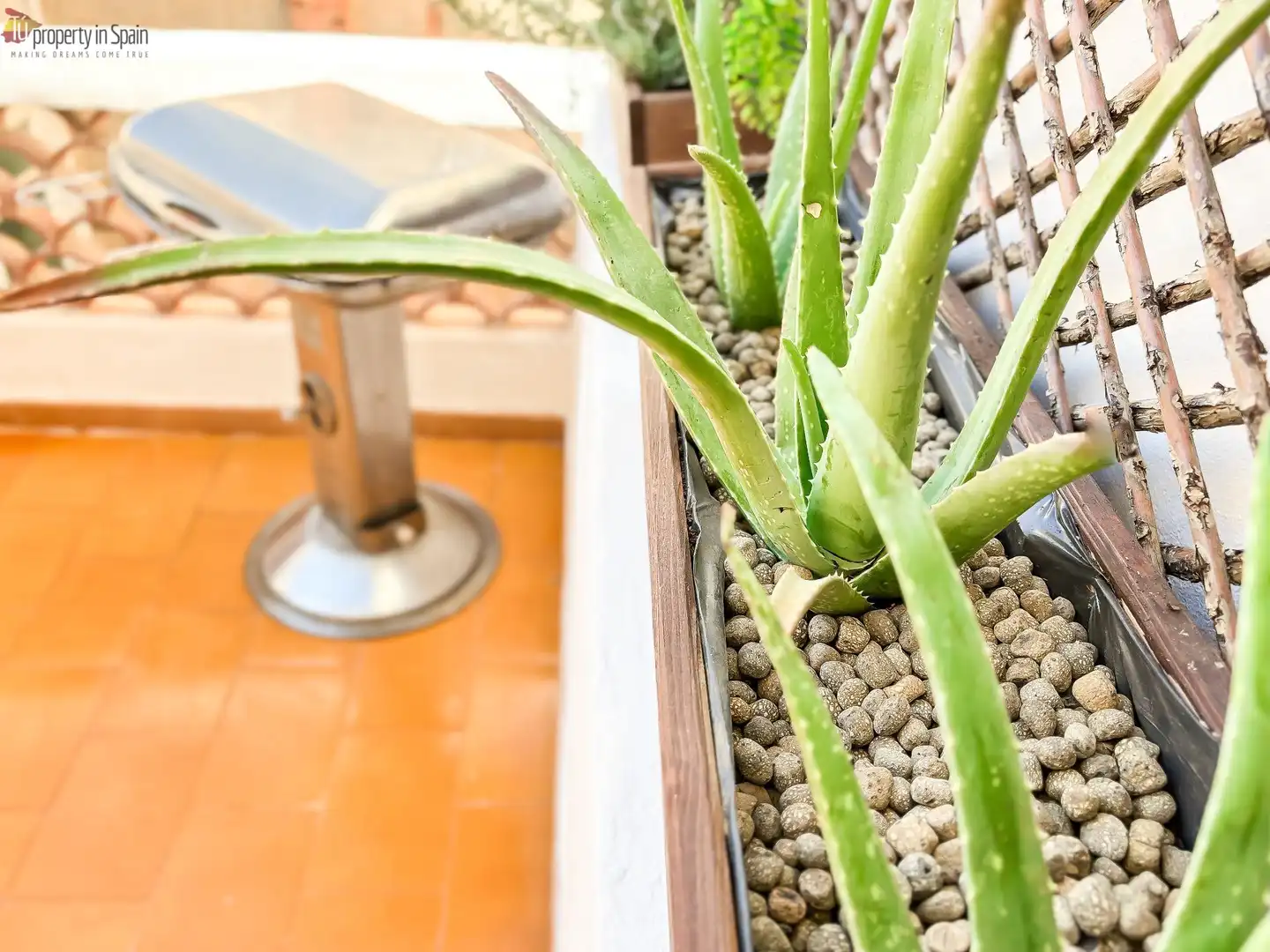Habitación en Calle CAPITAN RUEDA, Campoamor