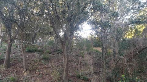 Photo 5 of Land for sale in Mercuri, 5, Sa Riera - Sa Fontansa, Girona