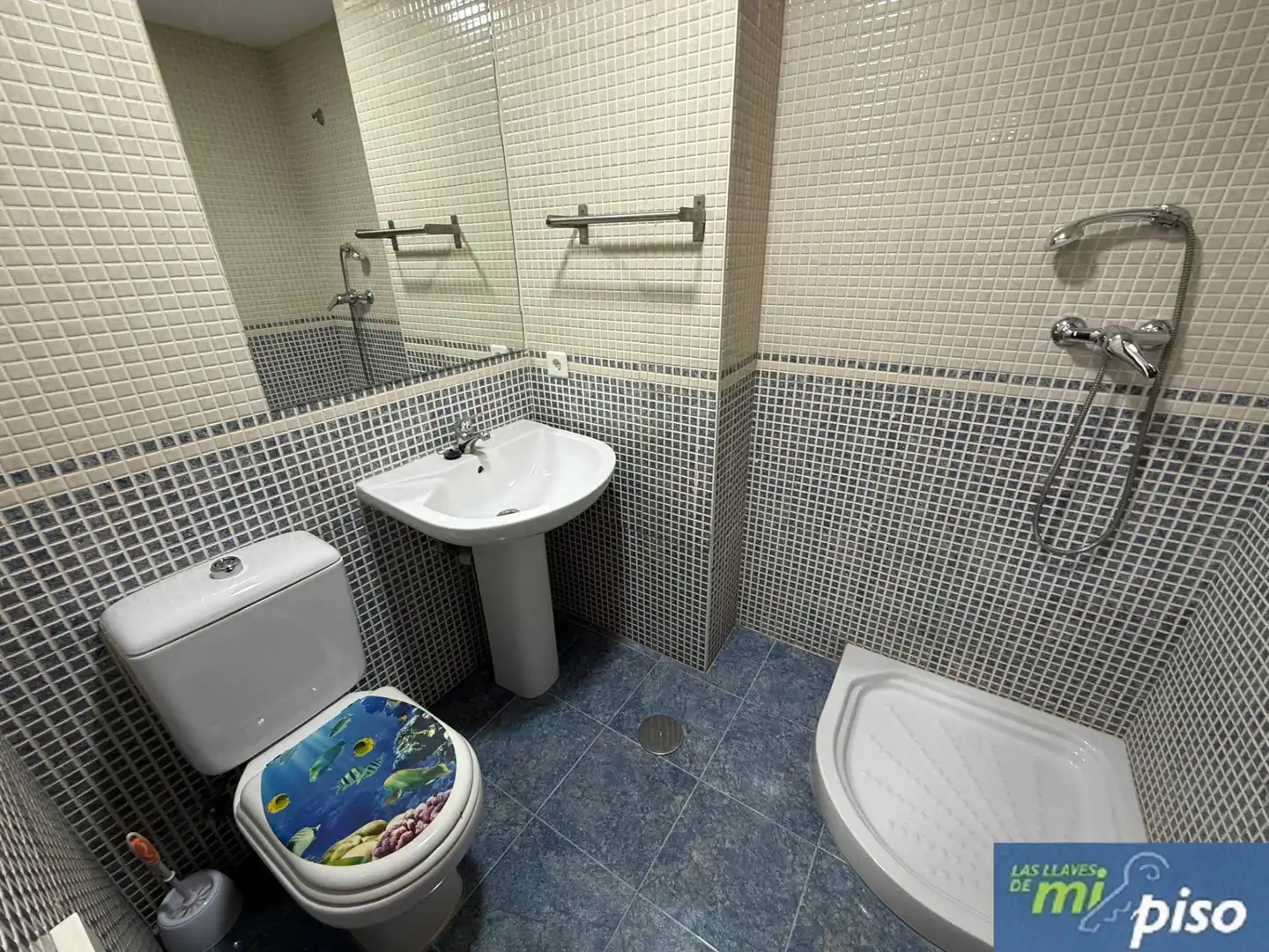 Bany de Pis en venda en Santovenia de Pisuerga amb Calefacció, Parquet i Terrassa