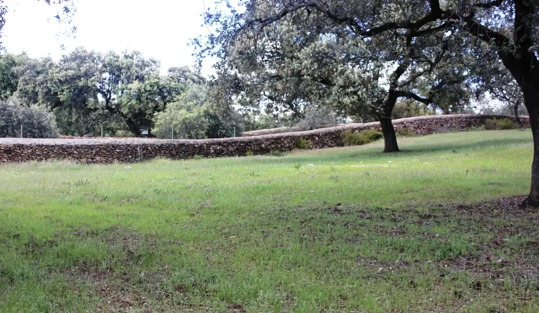 Terreni e lotti in vendita a Santa Olalla del Cala, imagen 31