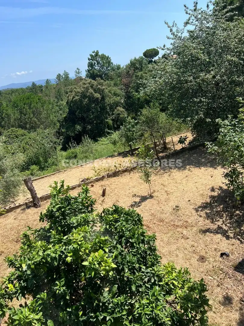 Casa o chalet en venta en Riudarenes con Jardín privado, Terraza y Balcón