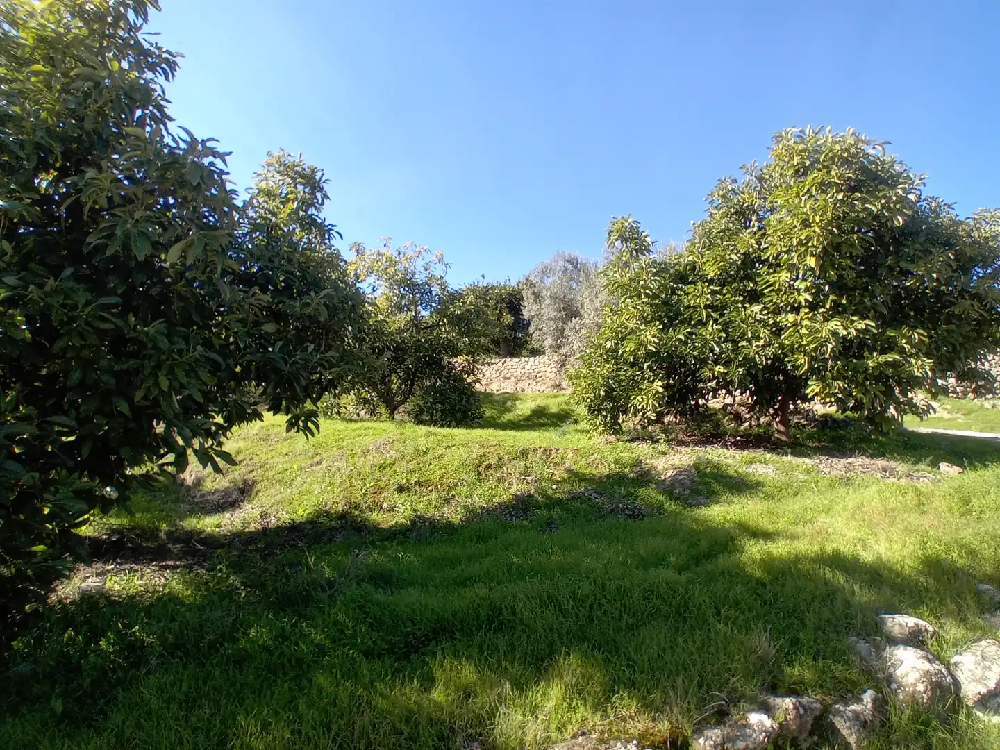 Villa mit Terrasse zum Verkauf in Urbanizacion la Pasadilla, imagen 47