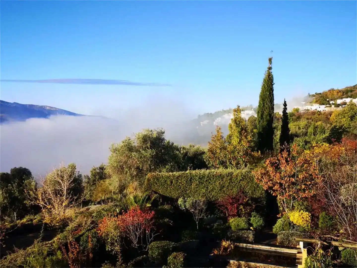 Jardí de Finca rústica en venda en Pórtugos