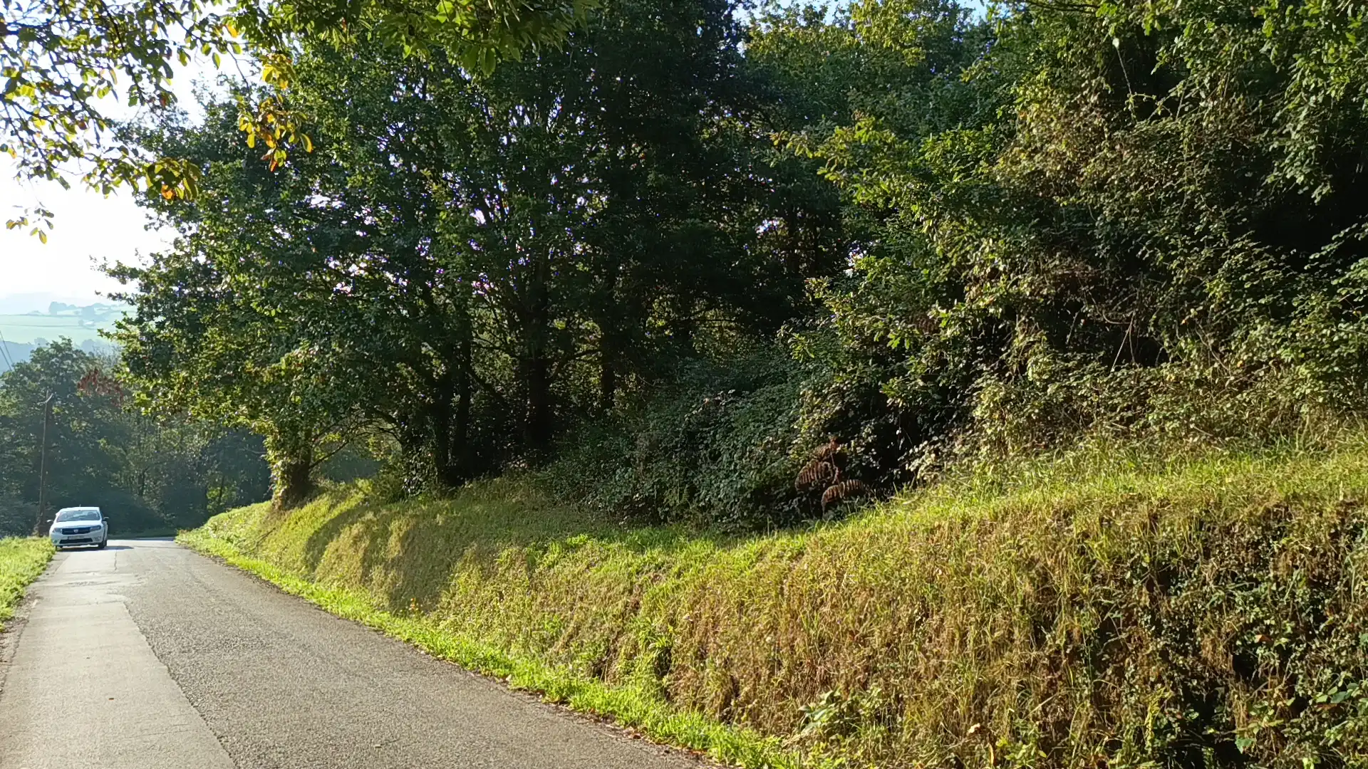 Rural land for sale in Lugar el Ponton, imagen 10