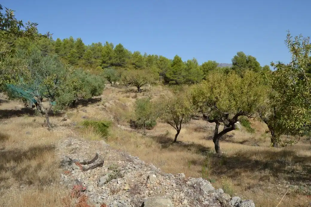Grundstücke und Bauplätze zum Verkauf in El Castell de Guadalest, imagen 9