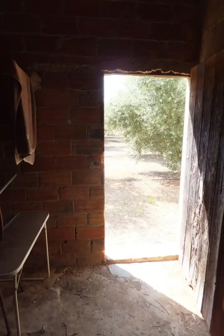 Terreno rústico en venta en Vial Camino, imagen 42