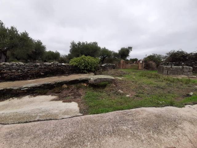 Finca rústica en Venta en Botija