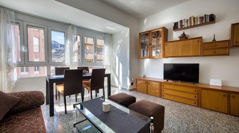 Foto 5 de Piso en venta en Orihuela ciudad, Orihuela